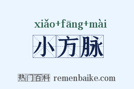 小方脉是什么意思的图片